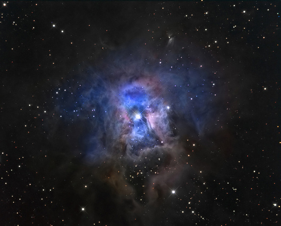 NGC 7023 The Iris Nebula in Cepheus