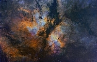 Butterfly Nebula in Cygnus