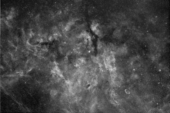 Nebulosity Surrounding Sadr In Cygnus