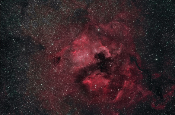 NGC7000 and Surrounding Field