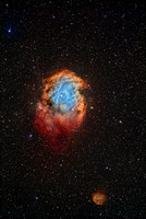 The Monkey Head Nebula - IC Astronomy Oria