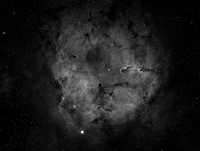 IC1396 - Cepheus